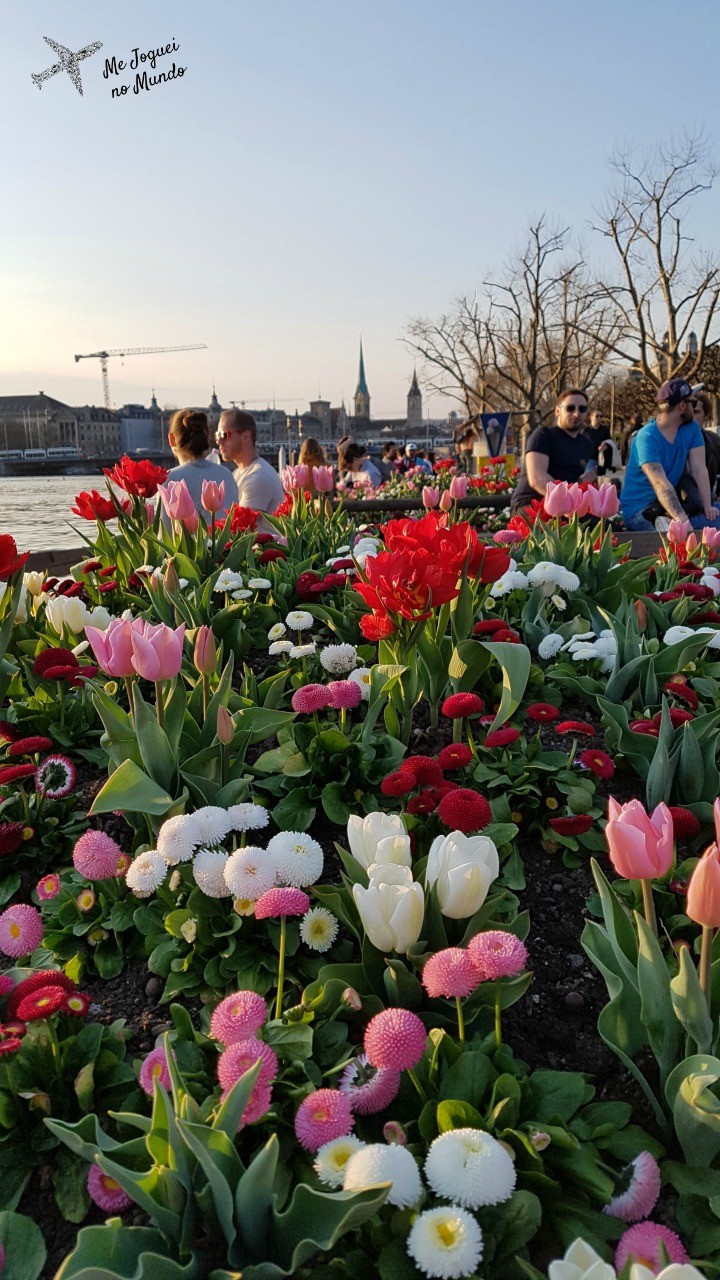 primavera em zurique-lago