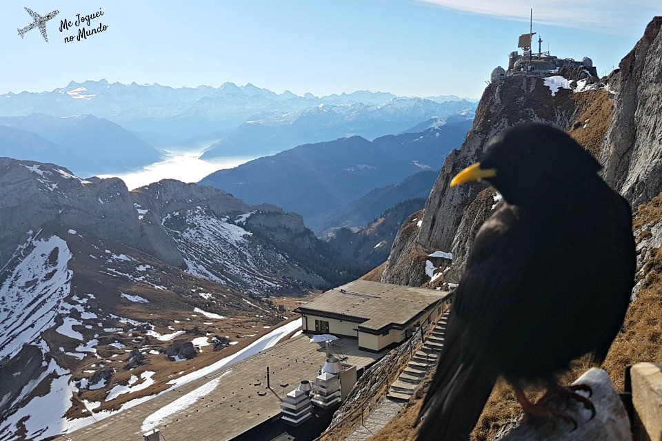 montanhas lucerne pilatus 