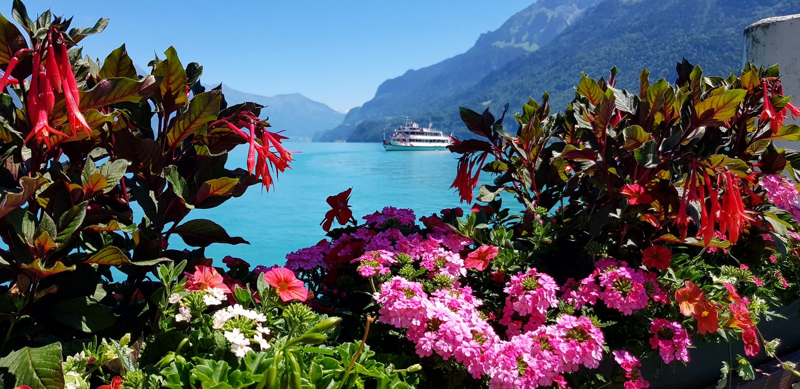 passeio de barco Lago Brienz