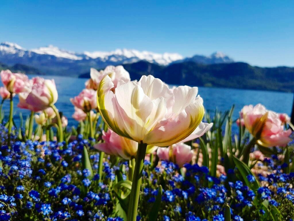 cidades lago lucerne