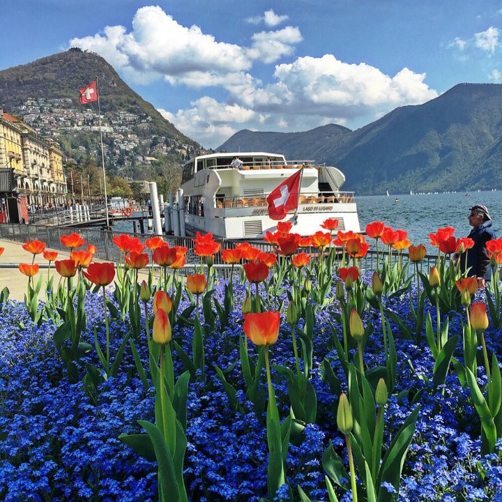 barco lugano