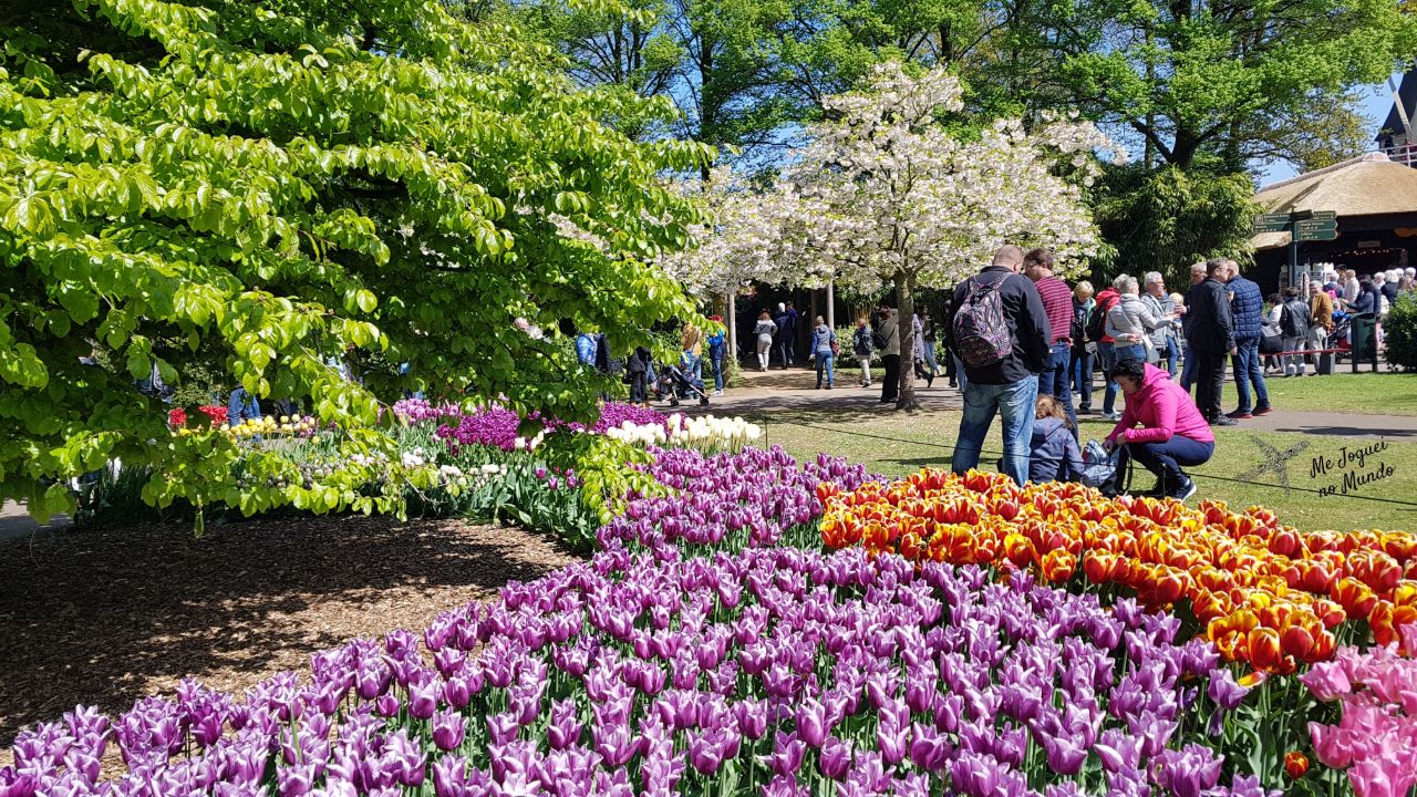 como chegar ao keukenhof