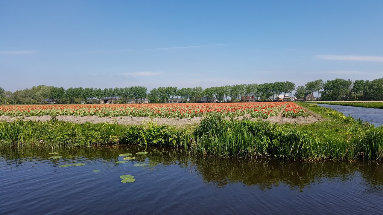 passeio de barco keukenhof 