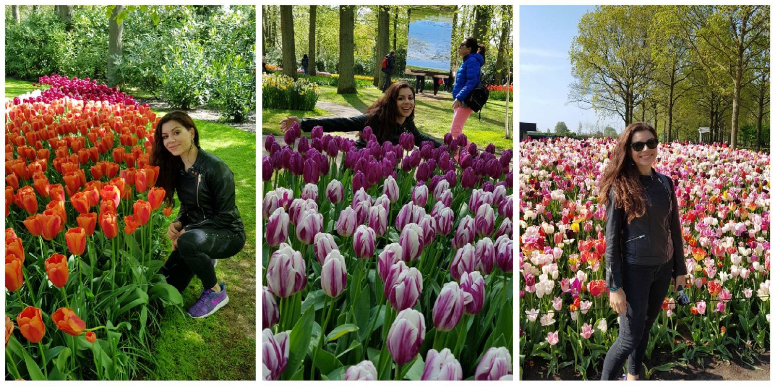 atividades parque keukenhof amsterda