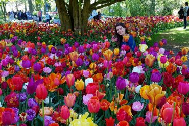 dicas sobre o keukenhof