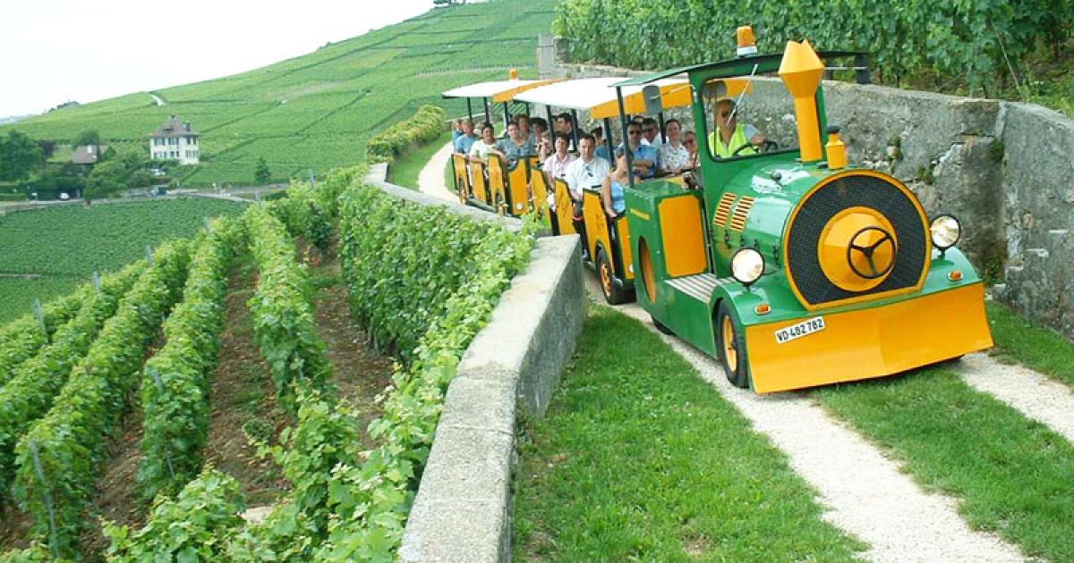 lavaux exprexx trem