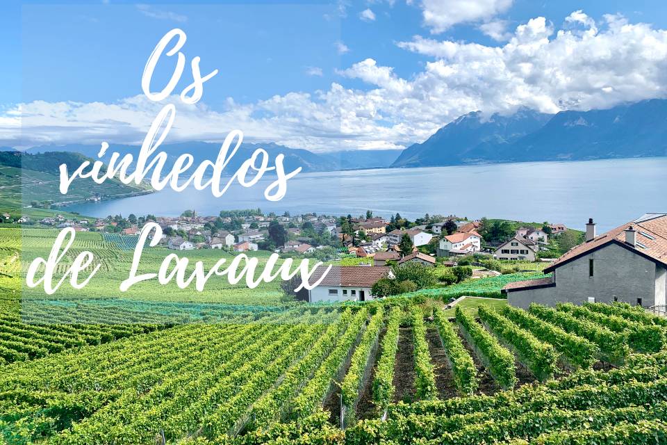 dicas lavaux suiça