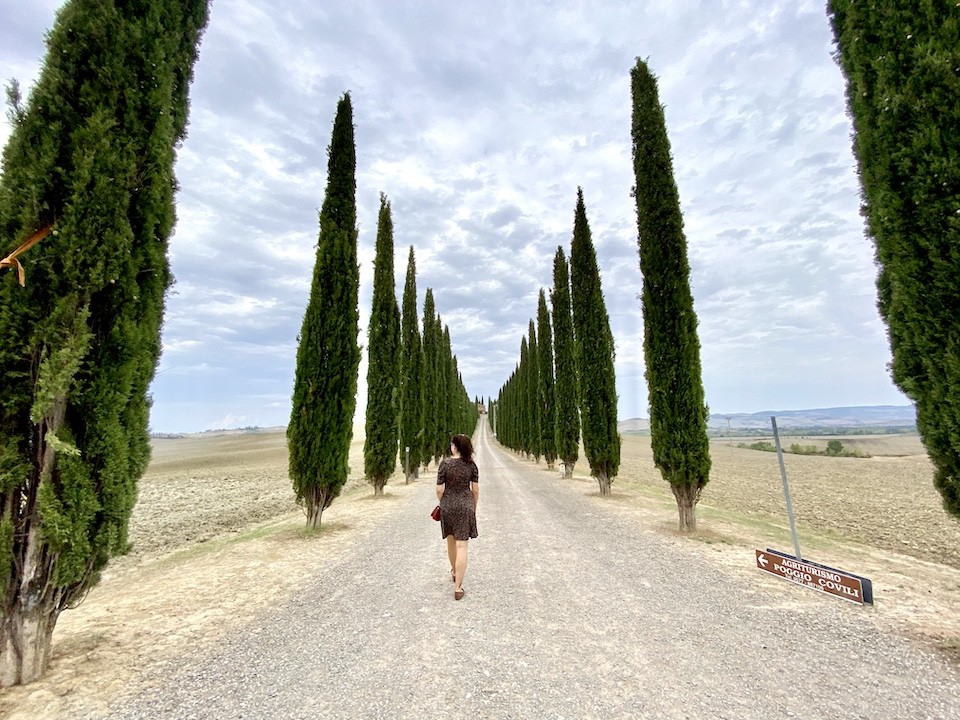 estrada ciprestes toscana no valdorcia