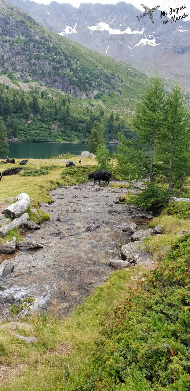 trilha lago saoseo e val viola