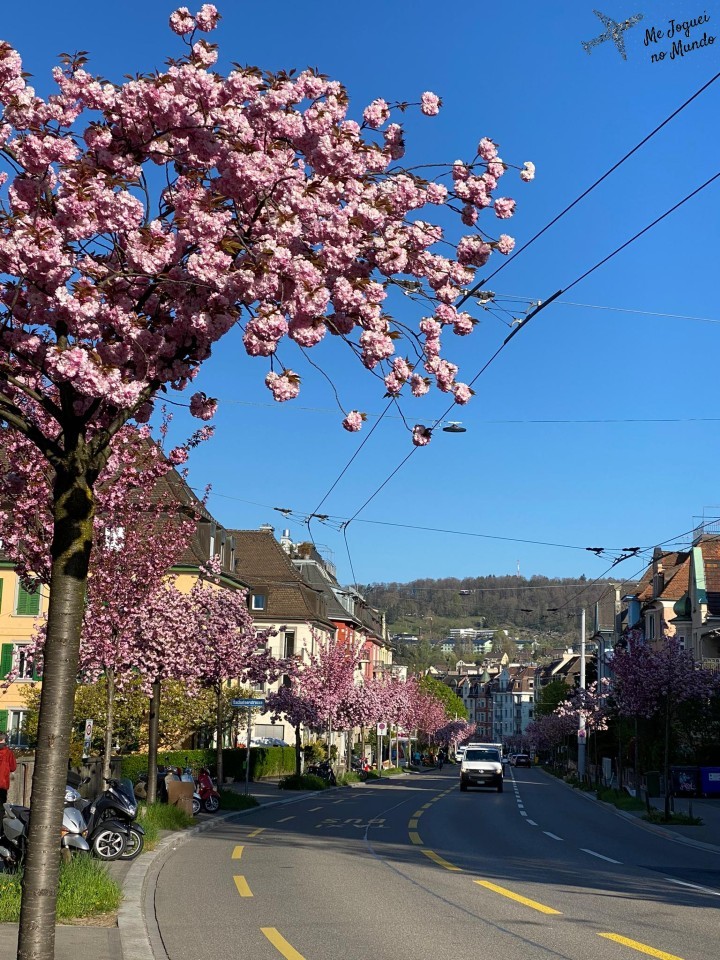 zurique na primavera