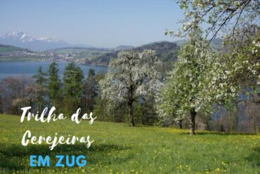 trilha das cerejeiras em zug