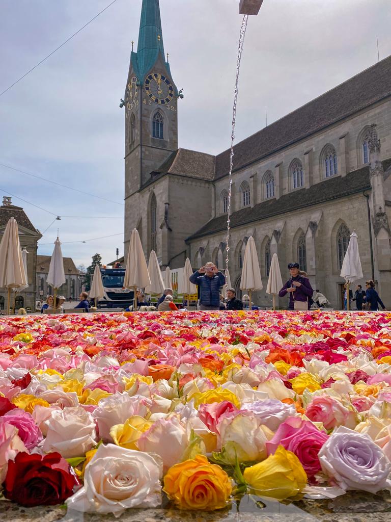 fontes decoradas com rosas em zurique