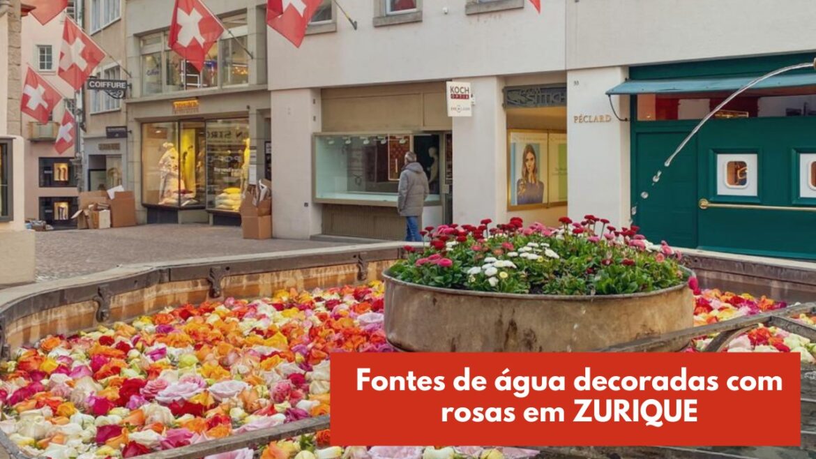 onde estao as fontes com rosas em zurique