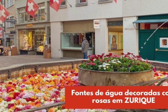 onde estao as fontes com rosas em zurique